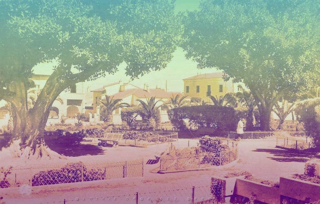 RELIZANE 504  JARDIN PUBLIC.jpg